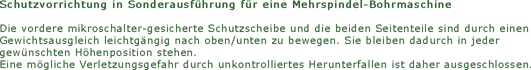 Schutzvorrichtung in Sonderausf�hrung f�r eine